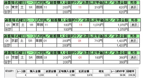 ロジカル馬券師1